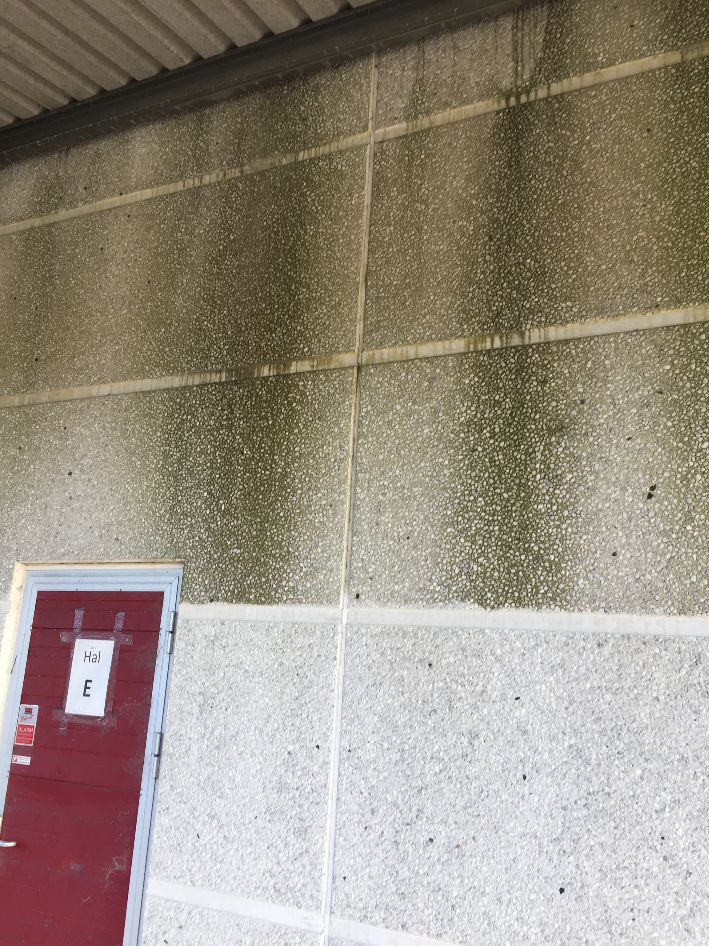 Algebehandling af tag