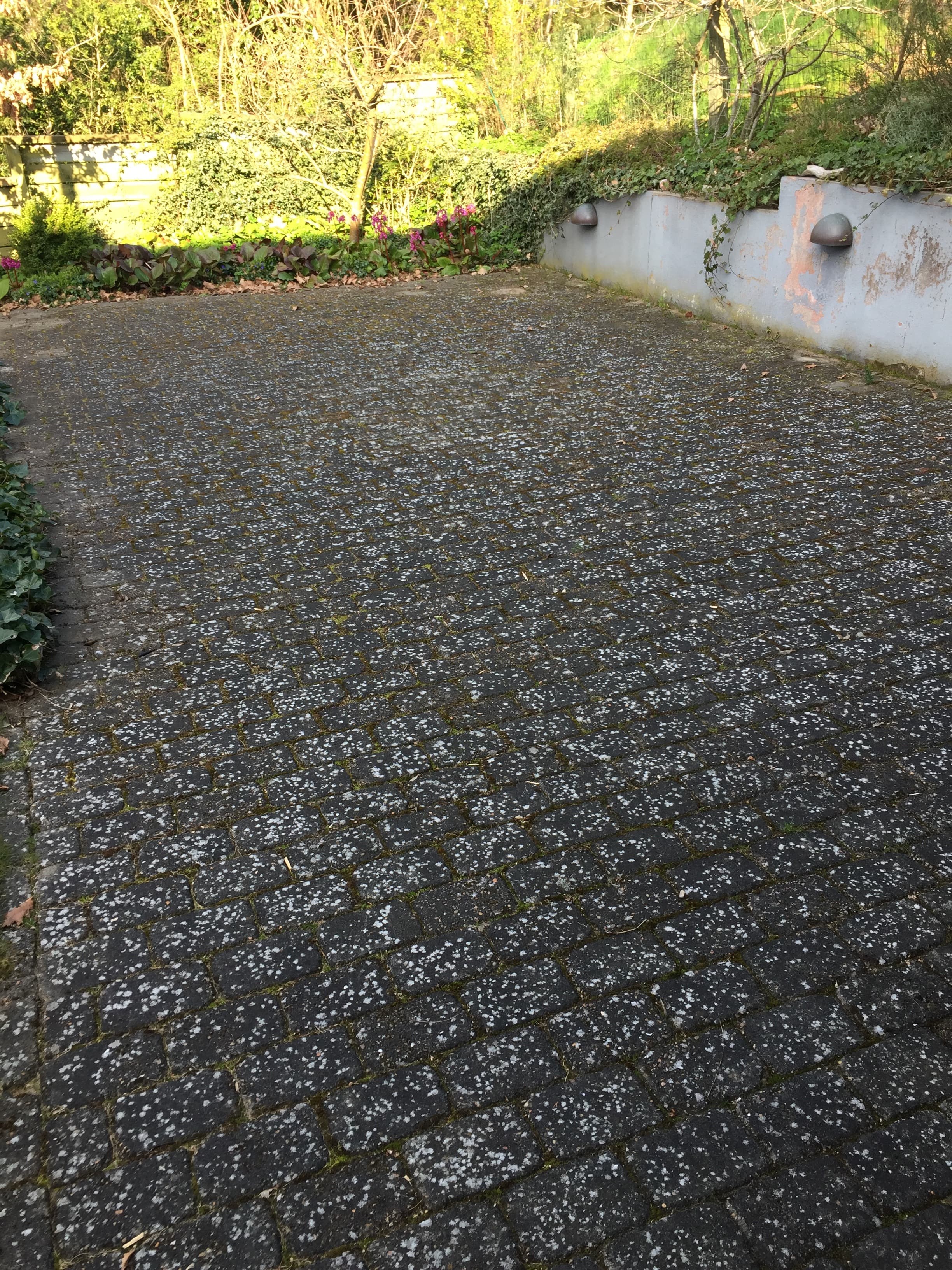 Fliser før rensning